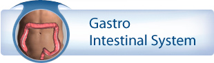 Gastro Intestinal System